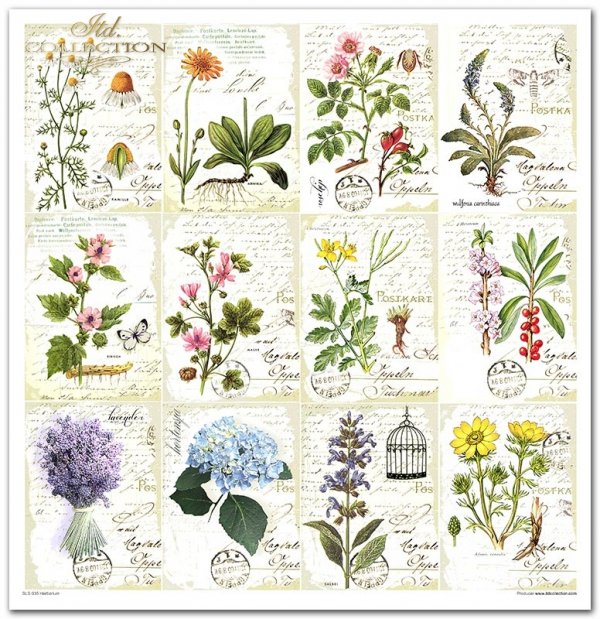 Zestaw papierów do scrapbookingu - Herbarium